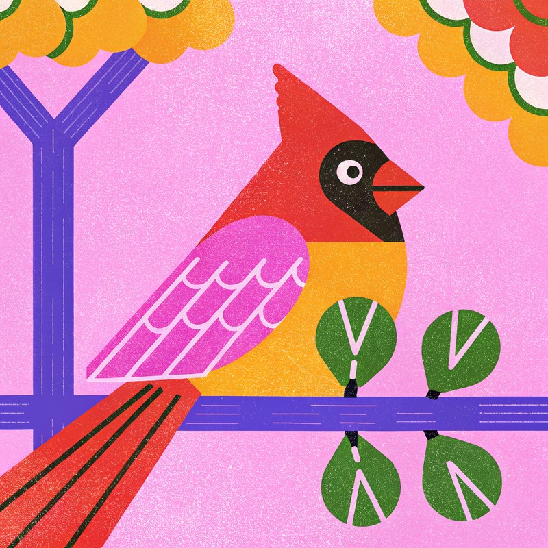 Northern Cardinal — Field Geometry plate