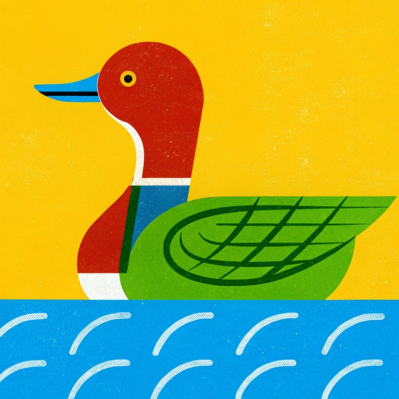 Northern Pintail — Field Geometry plate